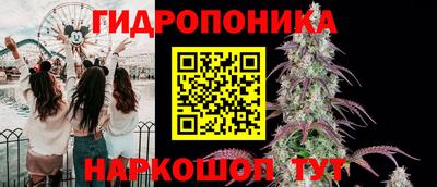 ешки Канаш
