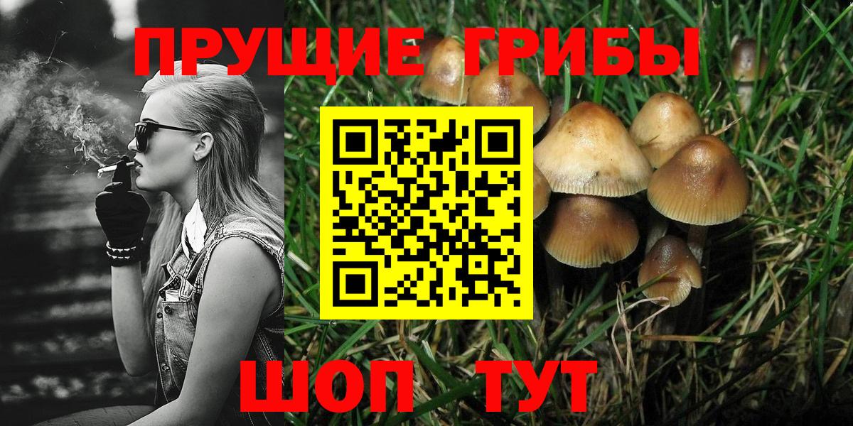 Галлюциногенные грибы MAGIC MUSHROOMS  Вход с VPN  Галлюциногенные грибы мицелий  Красноармейск 